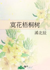 寞花梧桐树